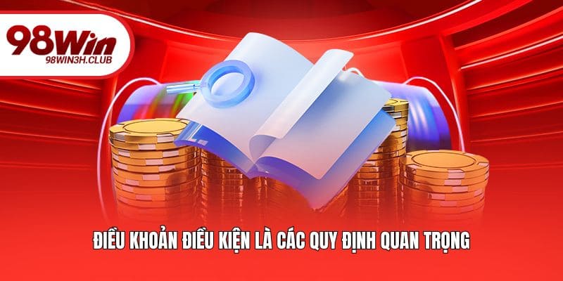 Điều khoản điều kiện là các quy định quan trọng