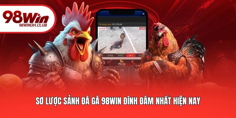 Sơ lược sảnh đá gà 98WIN đình đám nhất hiện nay